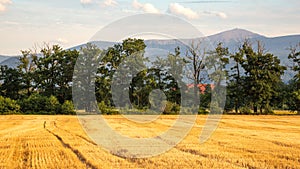 Summer, idyllic view of the Orle estate in Cieplice ÃÅ¡lÃâ¦skie photo